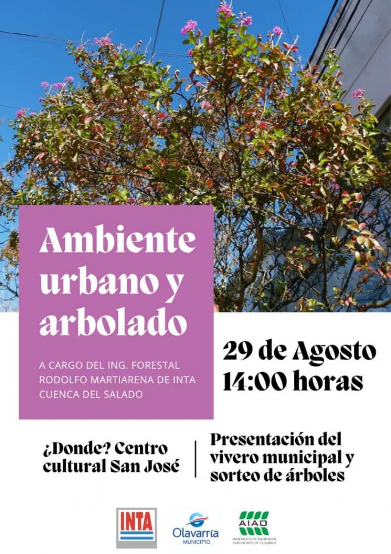 El arbolado urbano y la calidad de vida de los vecinos